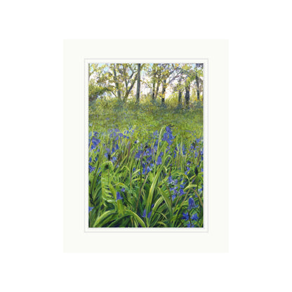 Bluebell Woods