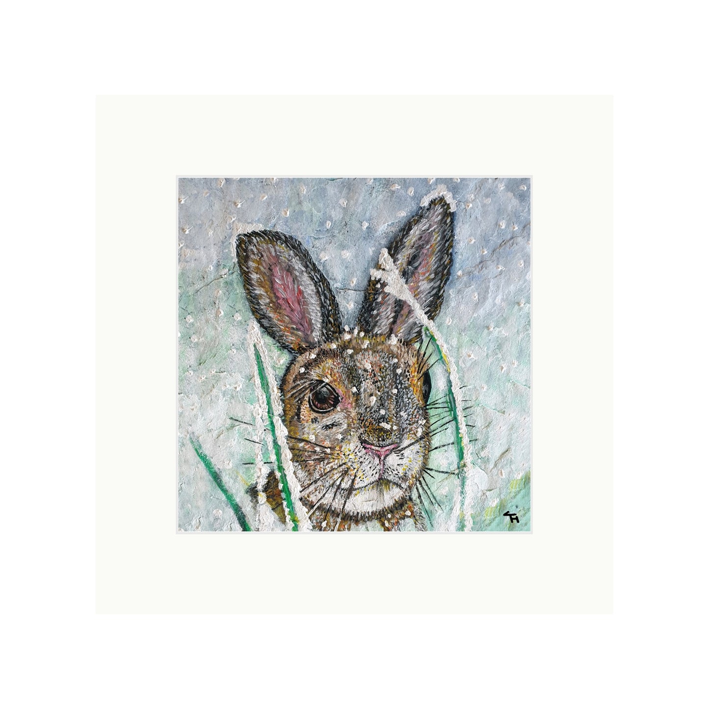 Polly the Hare