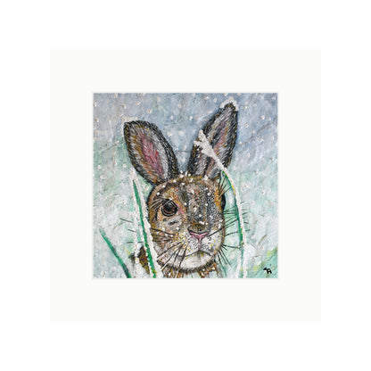 Polly the Hare