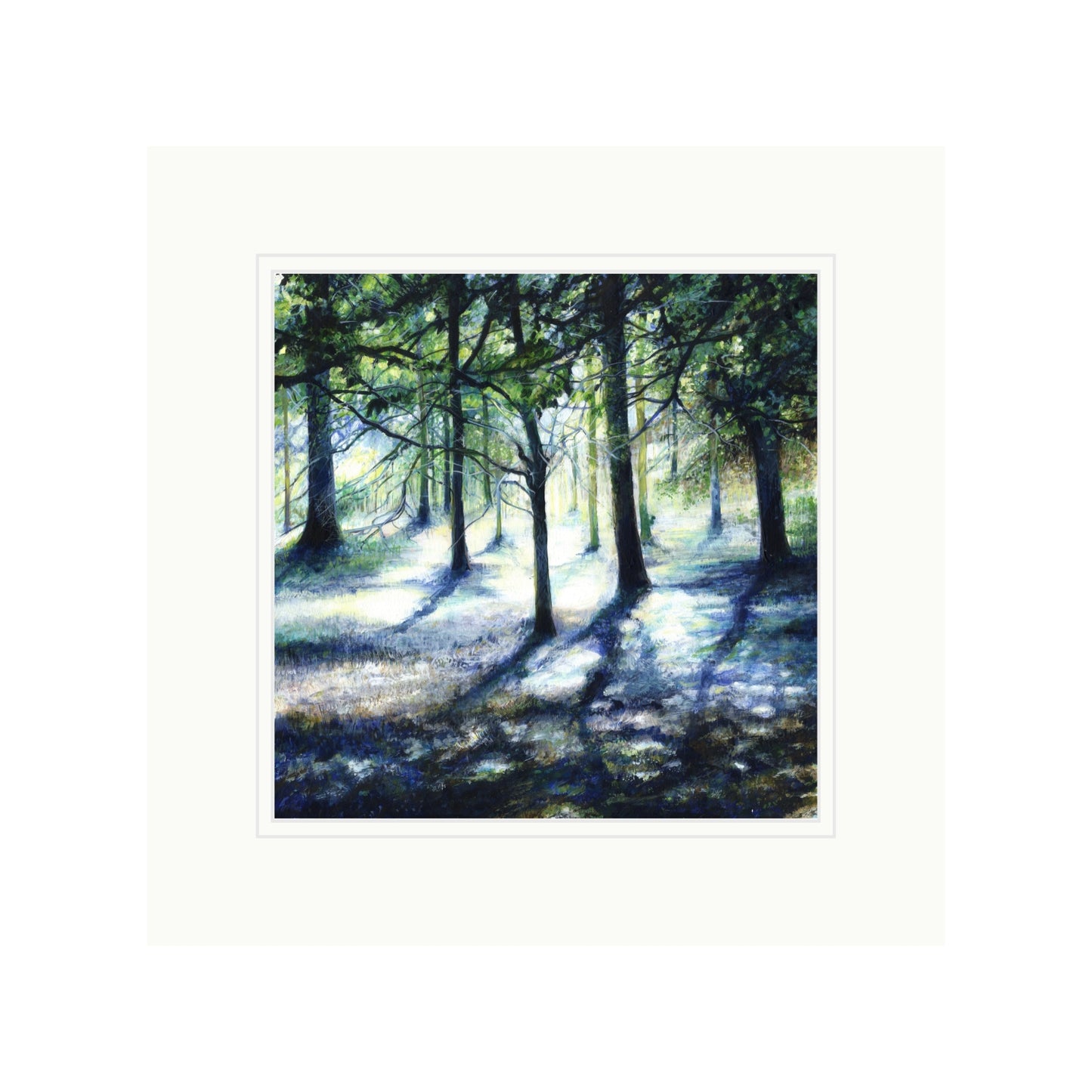 Dappled Light on Forest Floor