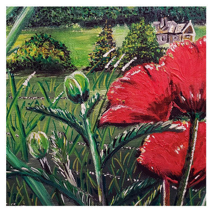 Castle Hill Summertime