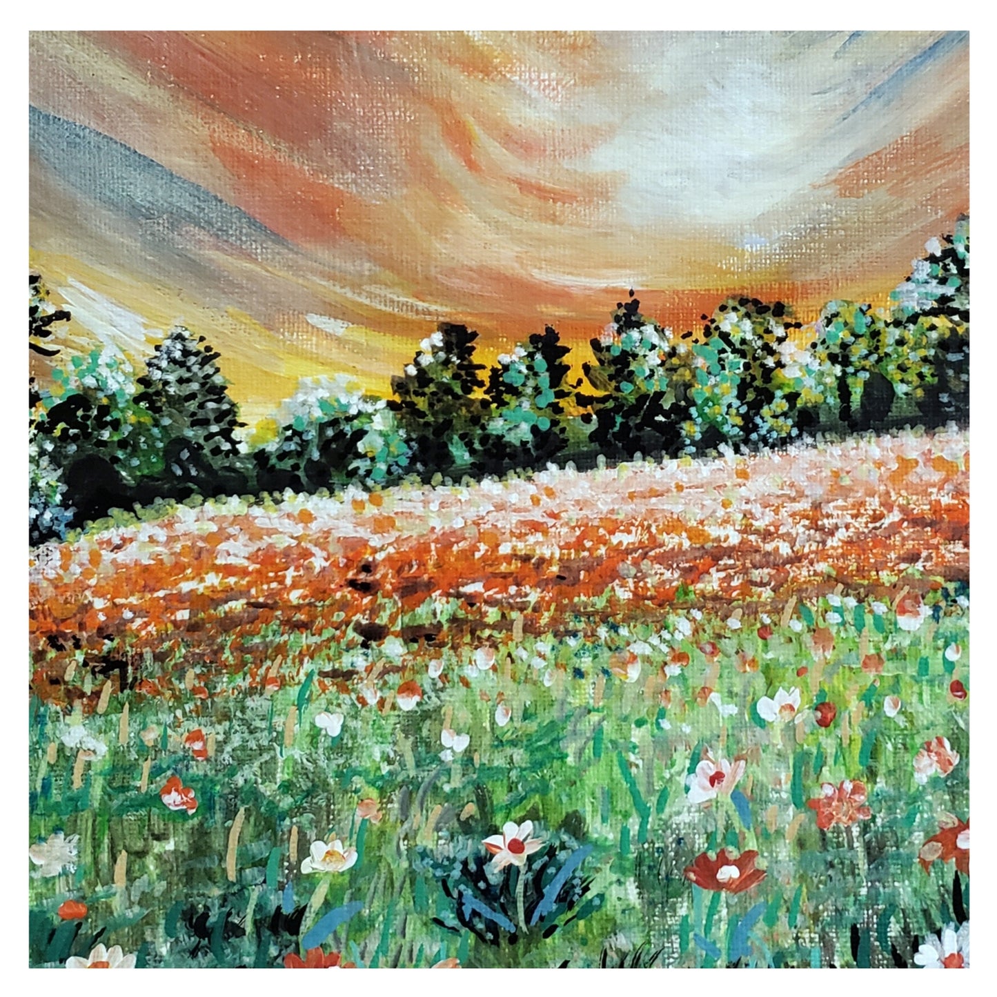 Blaze of Wild Flowers