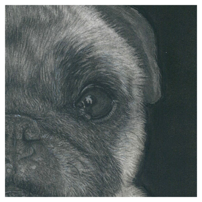 Lola