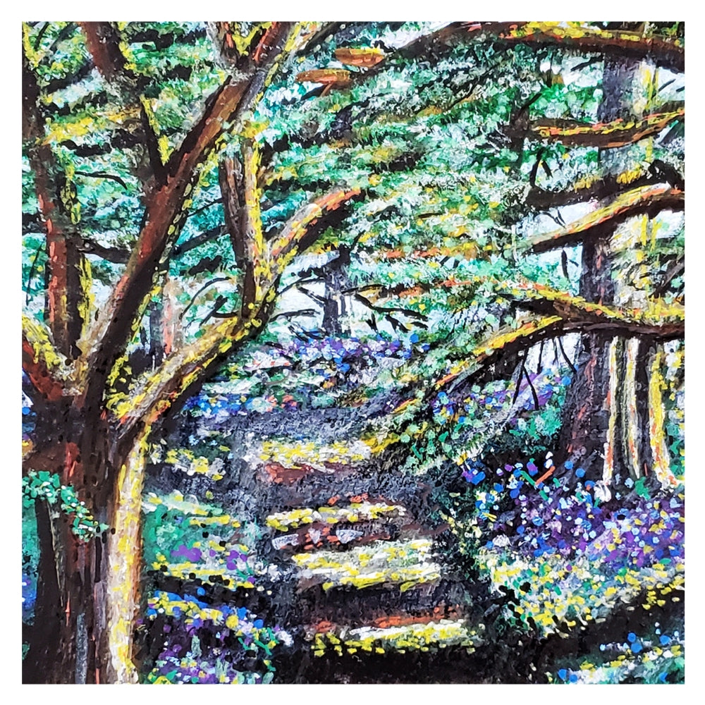 Enchanted Forest