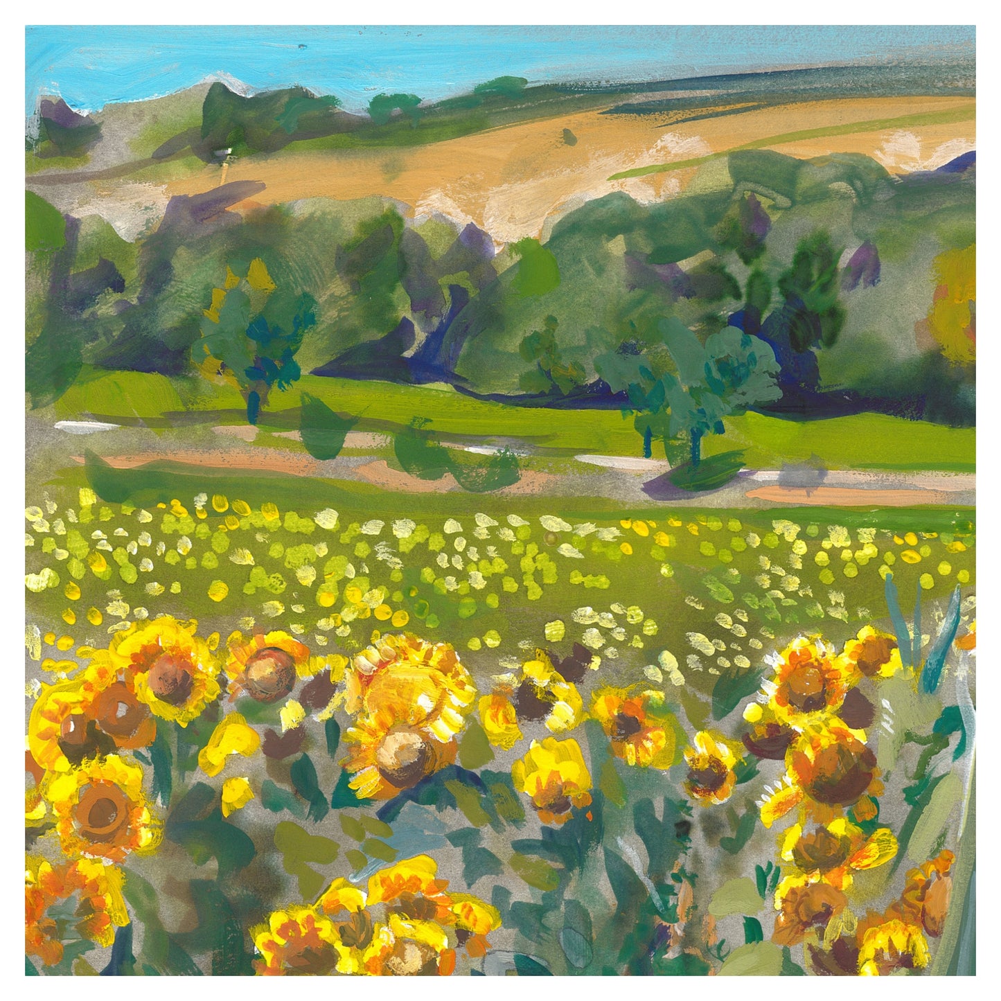 Sunflower Field