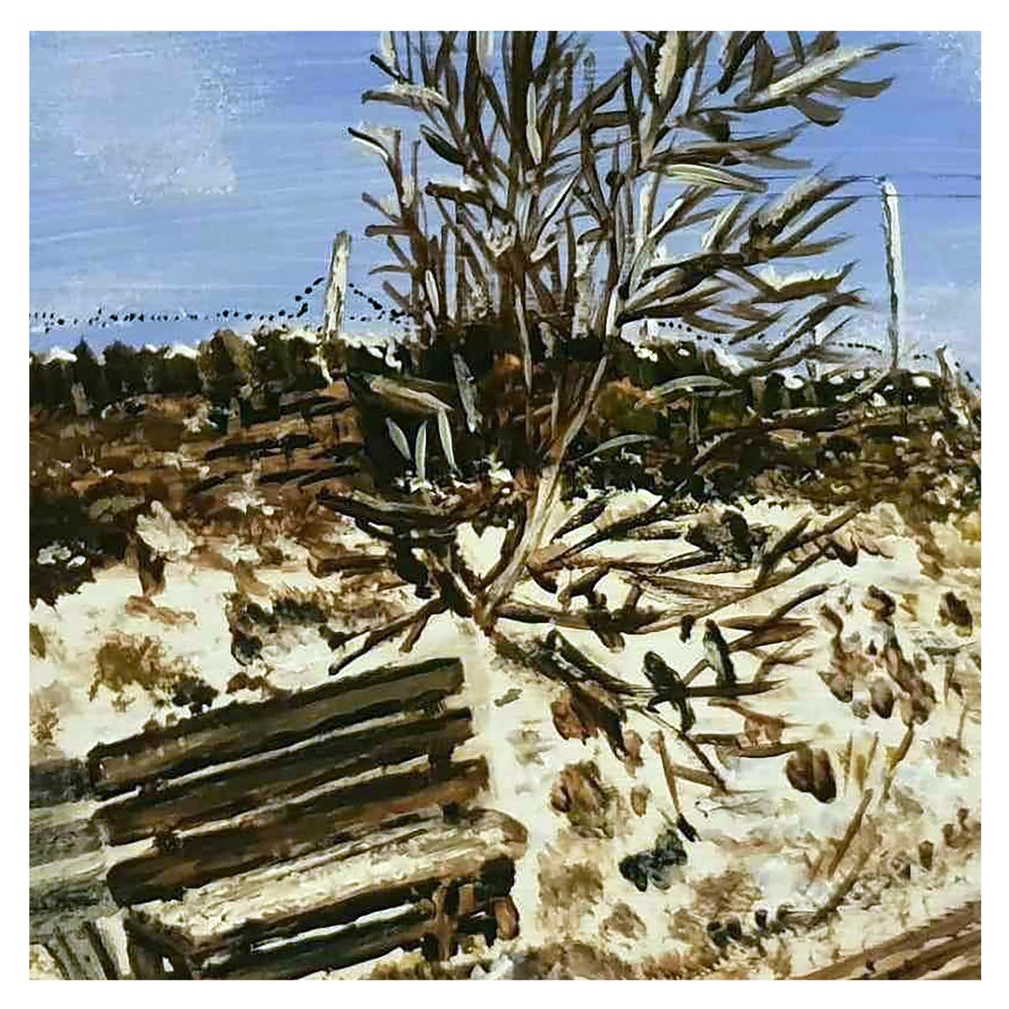 Little Cake Holmfirth