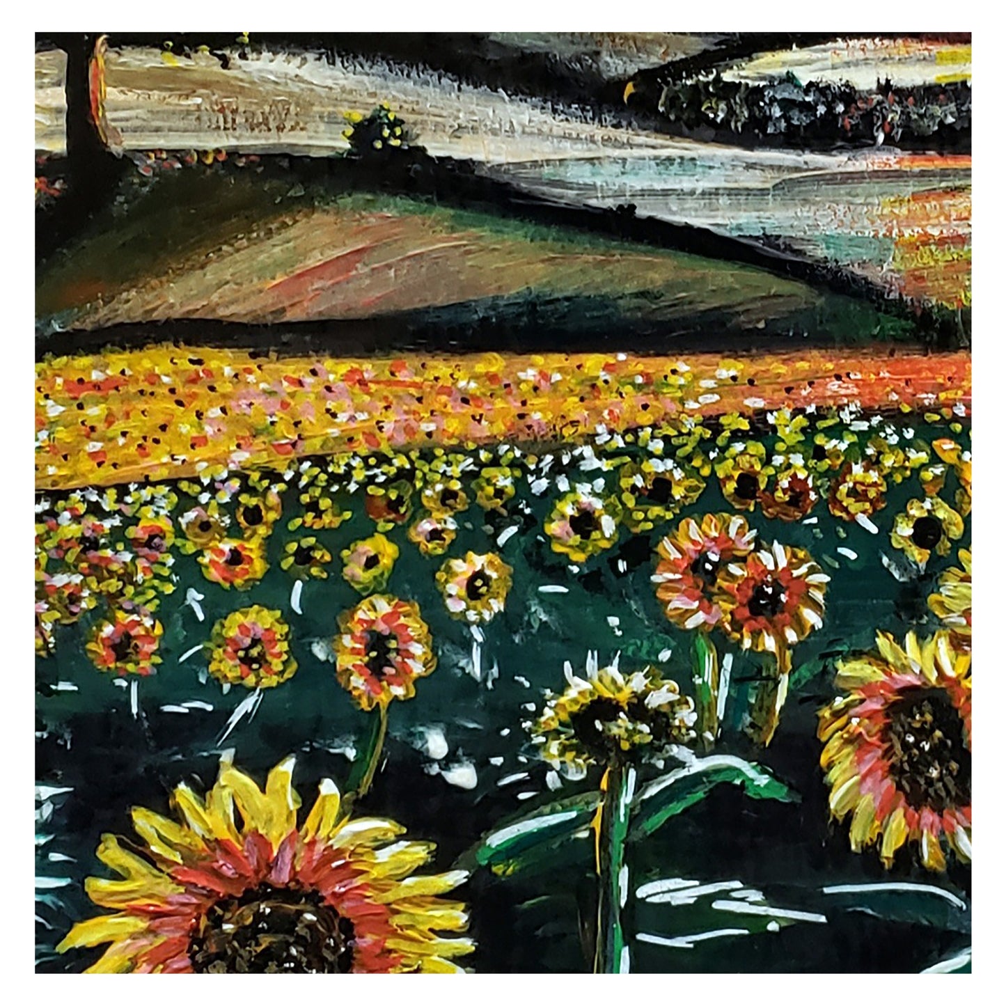 Field of Sunflowers