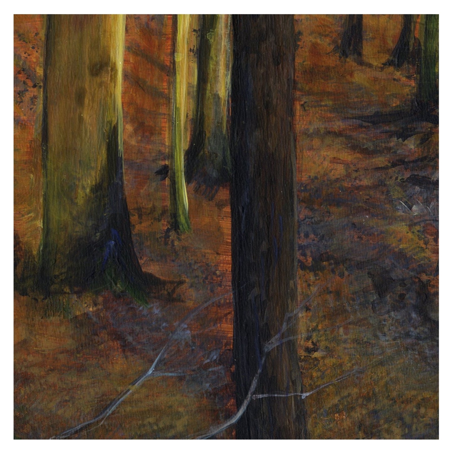 Autumn Woods in Evening Light