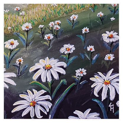 Daisy Dreams