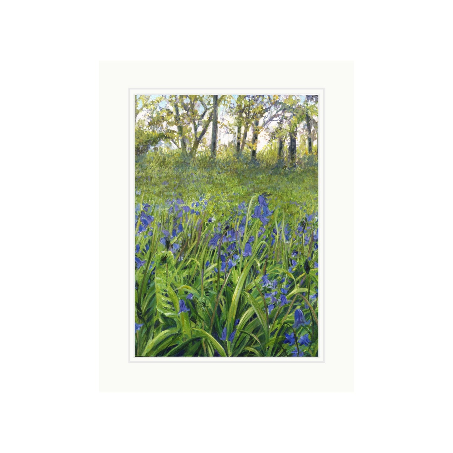 Bluebell Woods