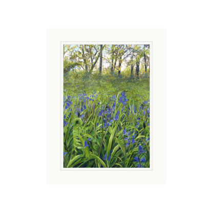 Bluebell Woods