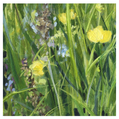 Buttercup Meadow with Speedwell