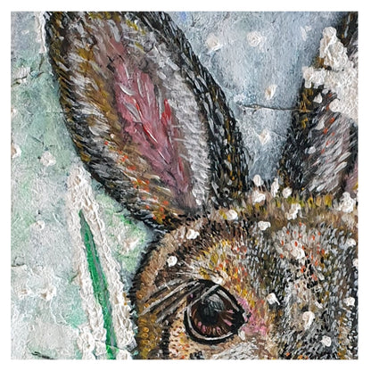 Polly the Hare