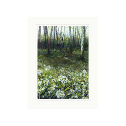 Wild Garlic Woods