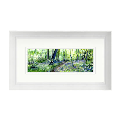 Bluebell Woods Painted in Watercolours