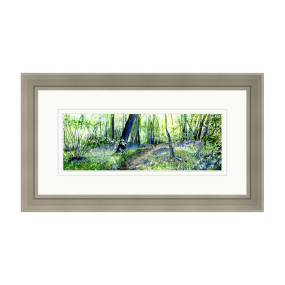 Bluebell Woods Painted in Watercolours