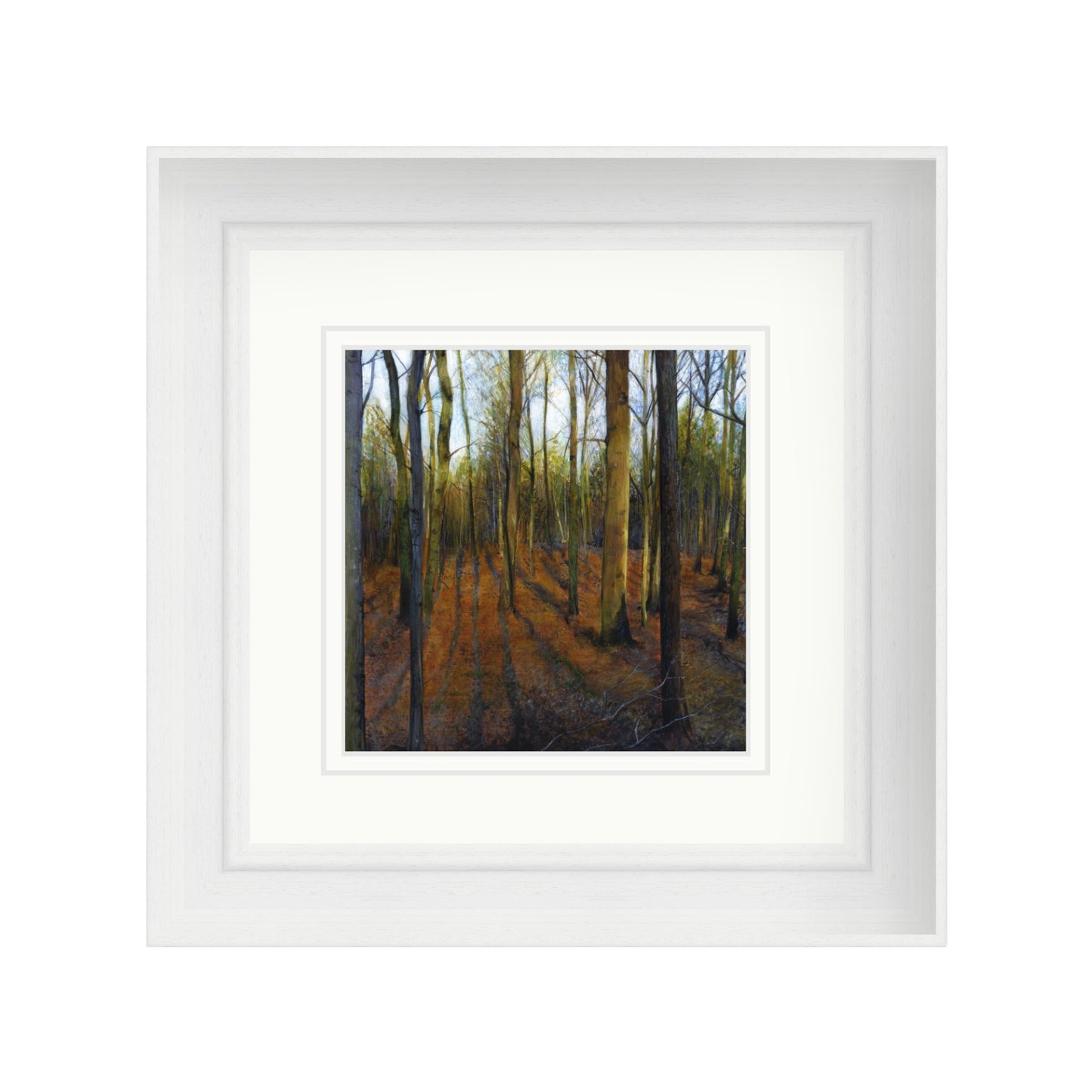 Autumn Woods in Evening Light