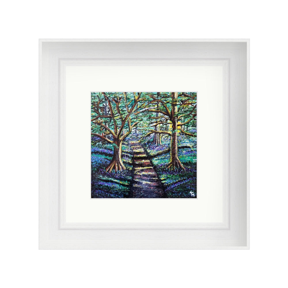 Enchanted Forest
