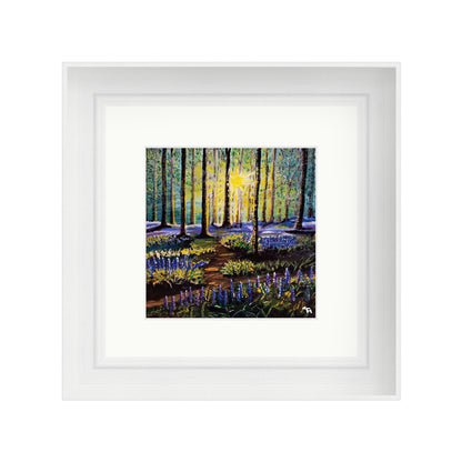Bluebell Forest