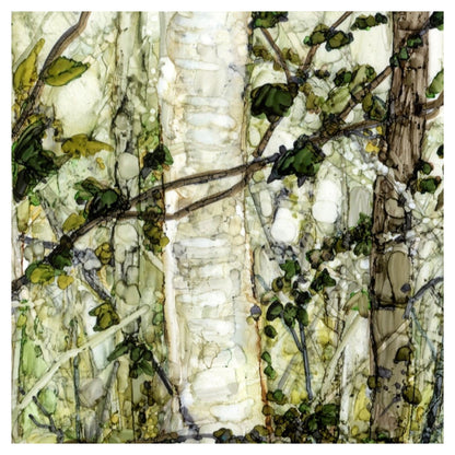 Viridian Birch - Portrait