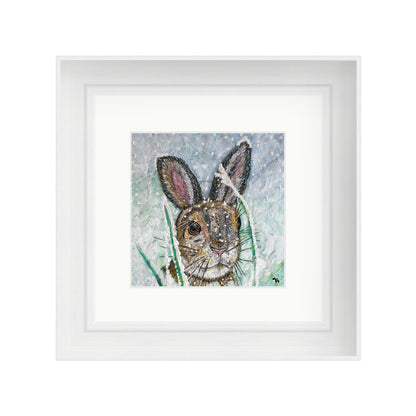 Polly the Hare