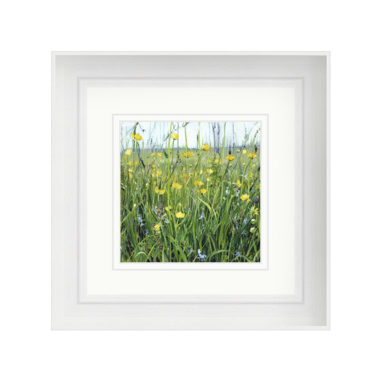 Buttercup Meadow with Speedwell