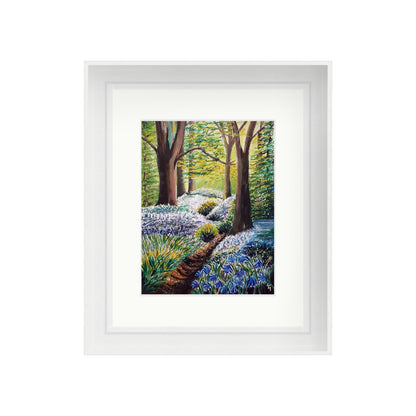 Sunlit Bluebell Way