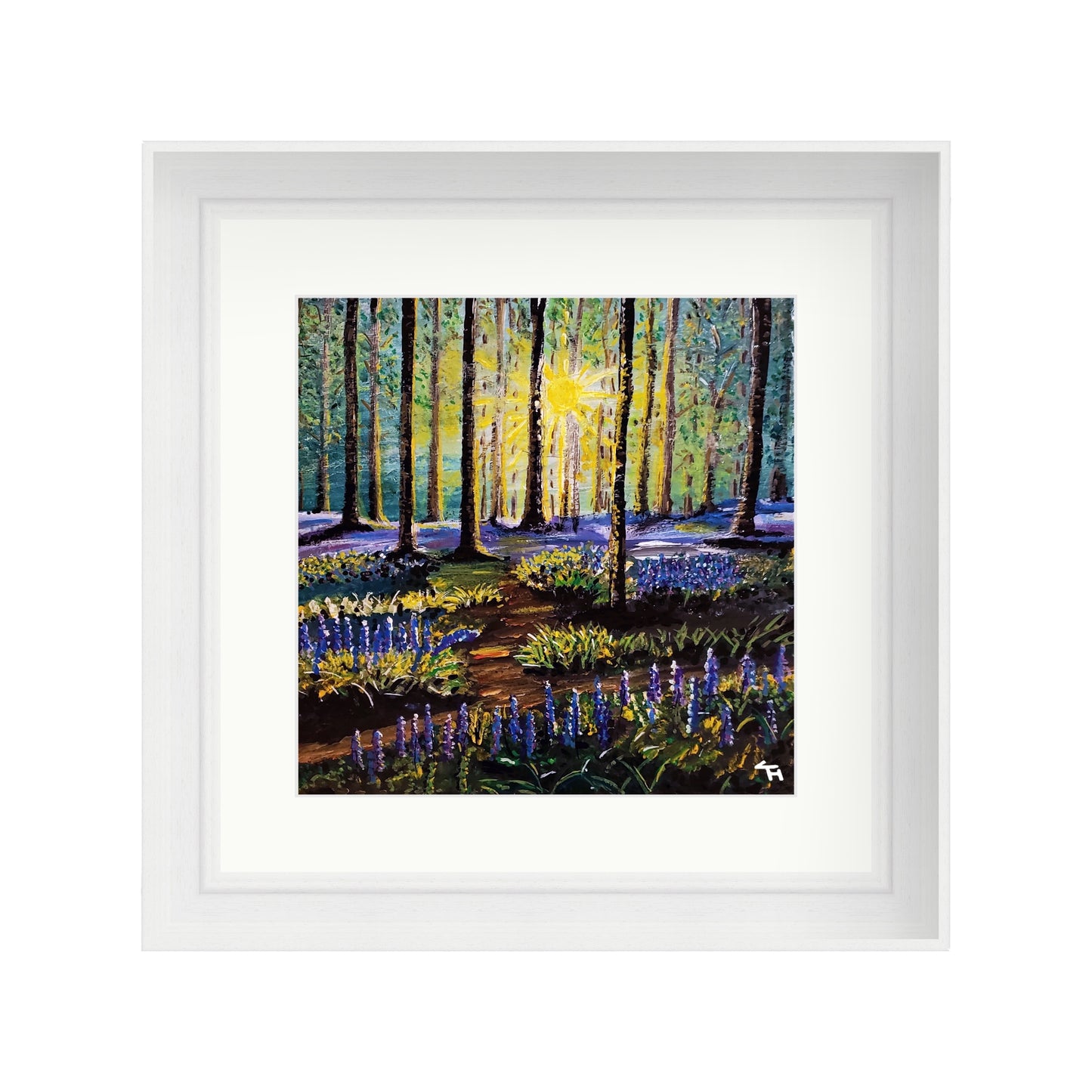 Bluebell Forest