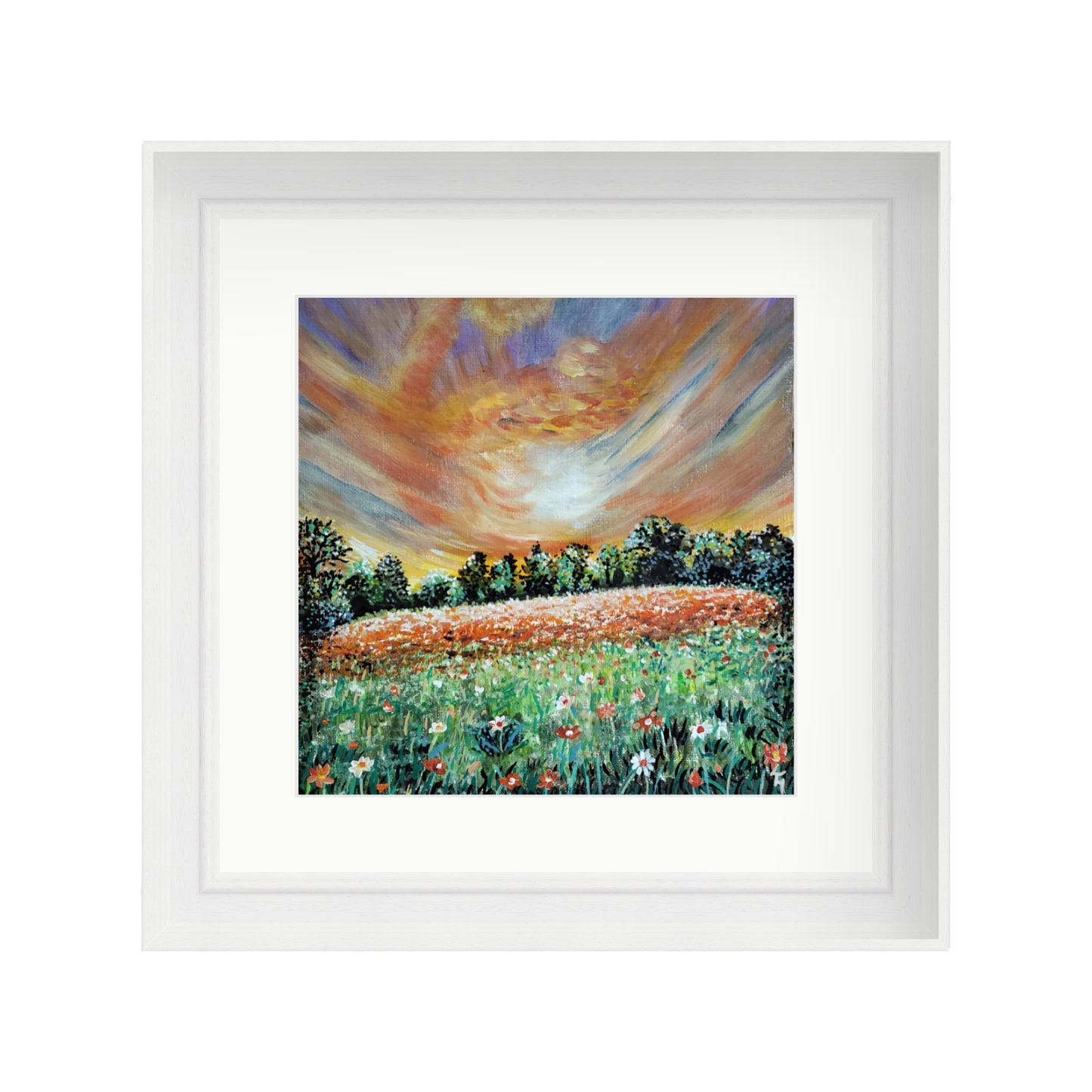 Blaze of Wild Flowers