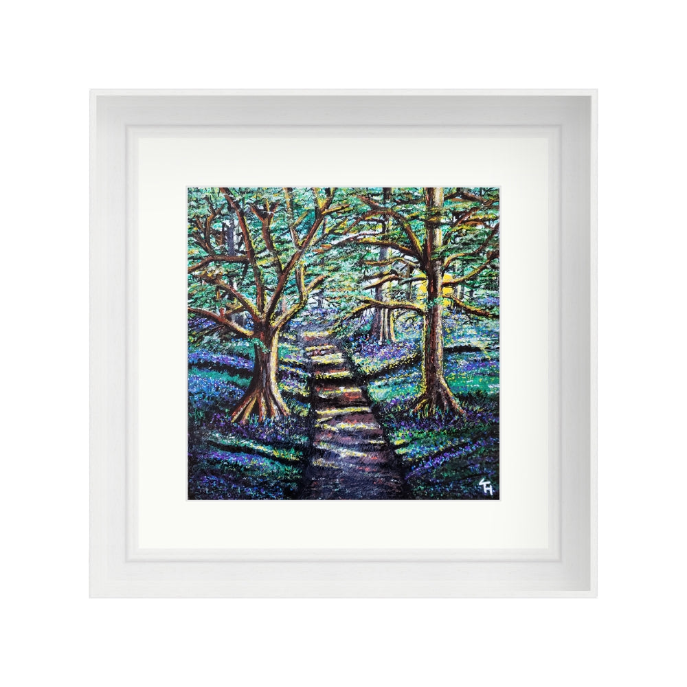 Enchanted Forest
