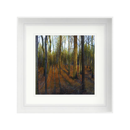 Autumn Woods in Evening Light