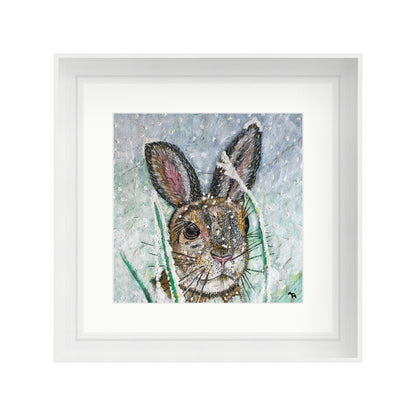 Polly the Hare