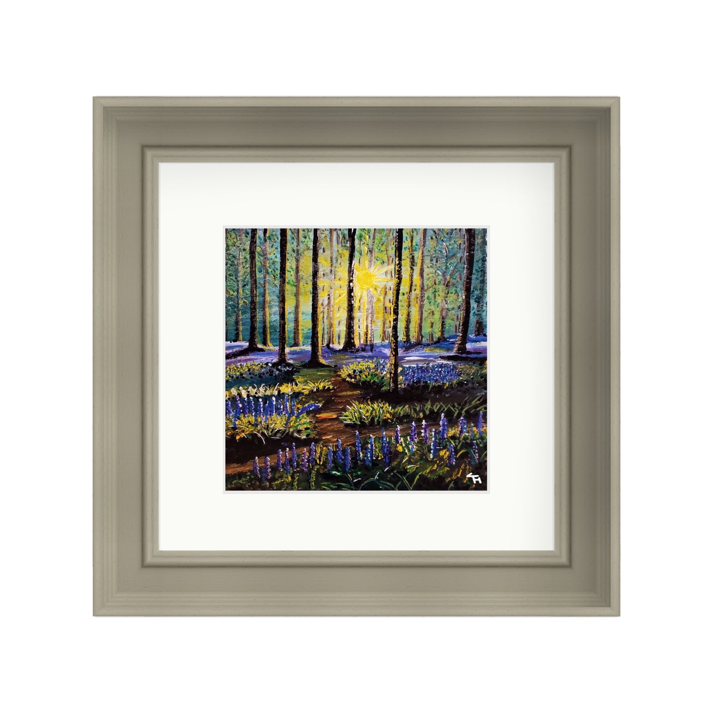 Bluebell Forest