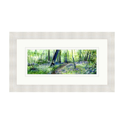 Bluebell Woods Painted in Watercolours