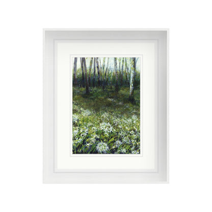 Wild Garlic Woods