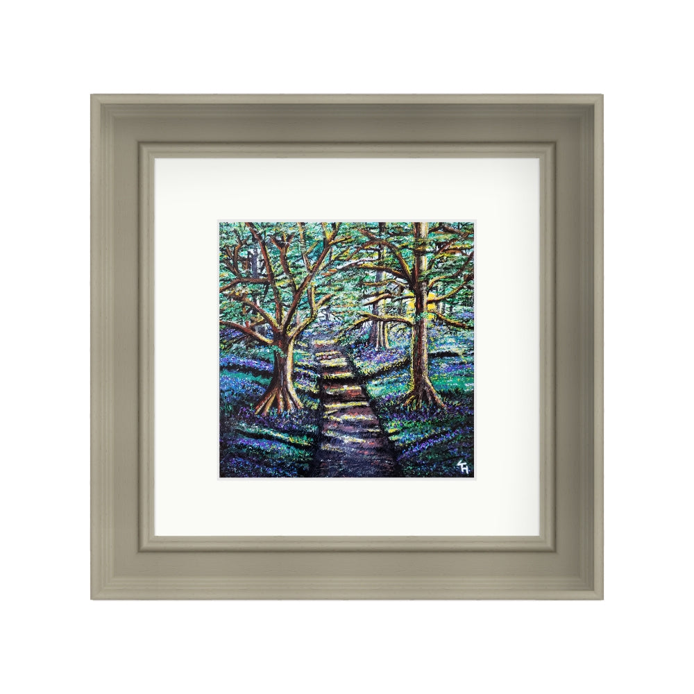 Enchanted Forest