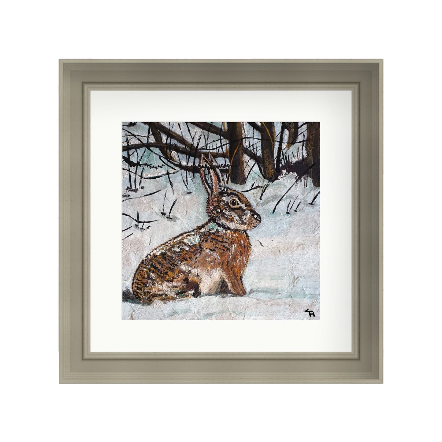 Hare in Snowy Woodland