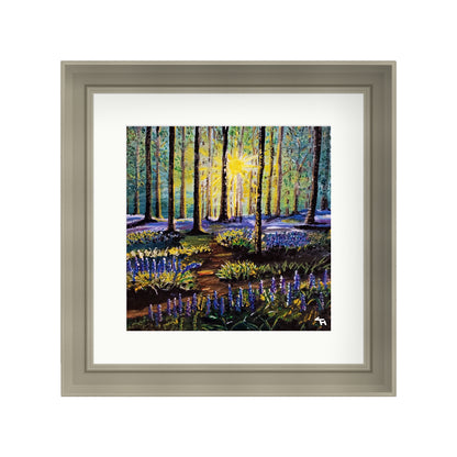 Bluebell Forest