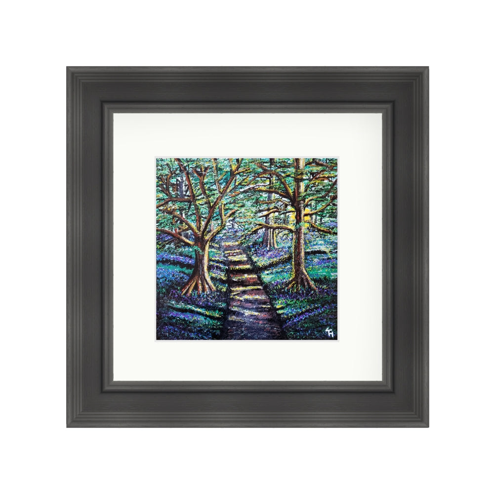 Enchanted Forest