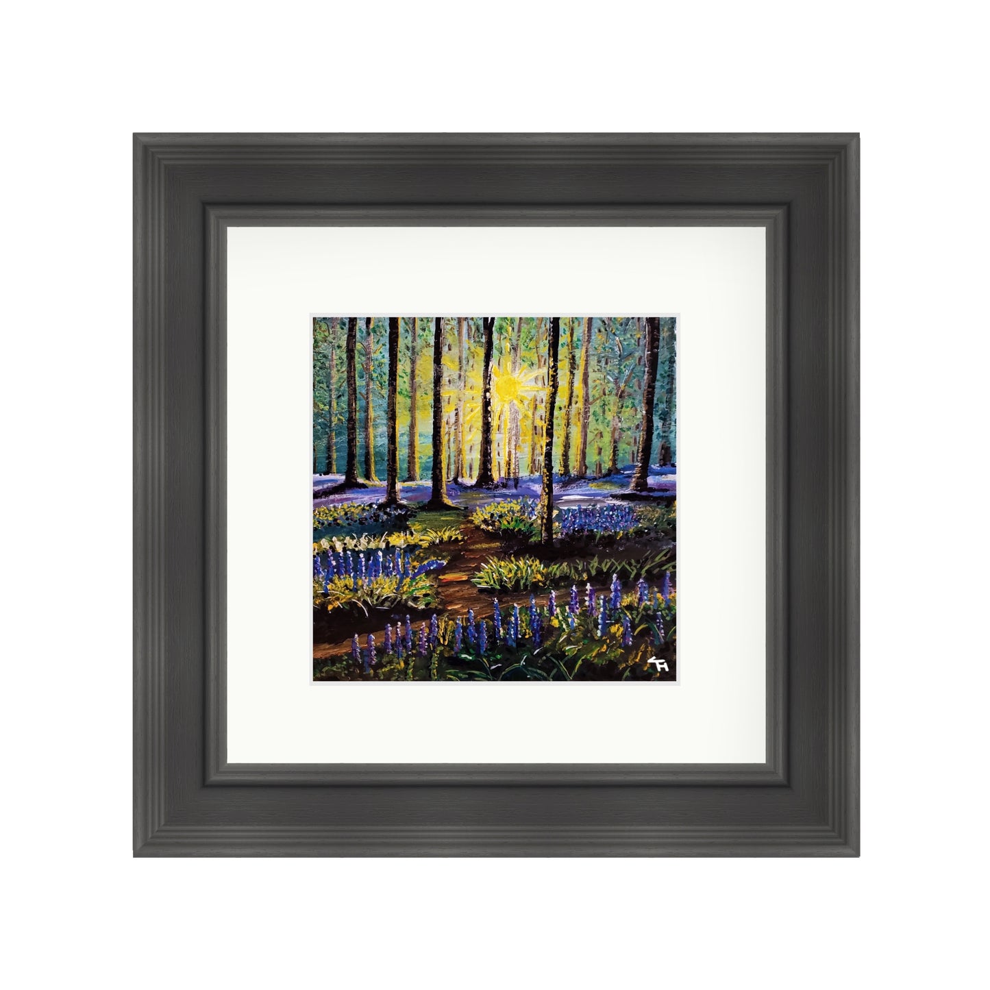 Bluebell Forest