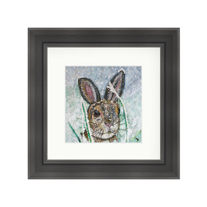 Polly the Hare