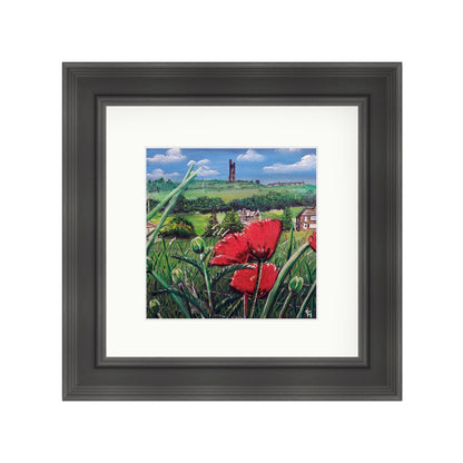 Castle Hill Summertime