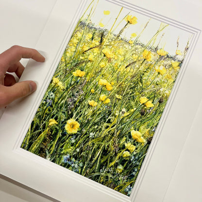 Buttercup Meadow