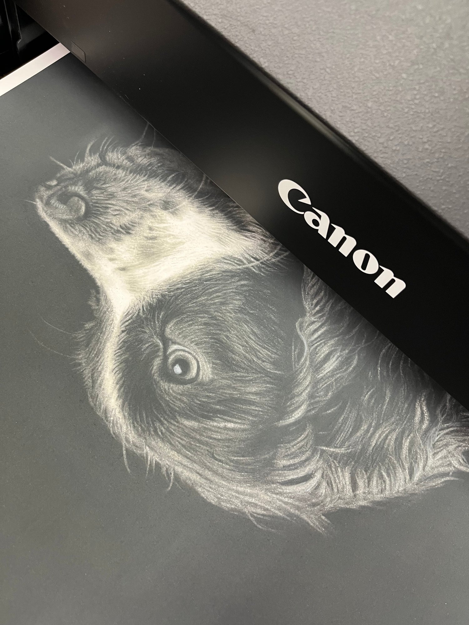 Canon printer with a detailed black and white illustration of a sloth on the cartridge cover.